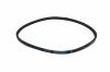 Global Garden Products GGP Belt
