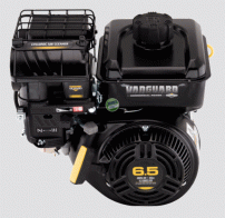 SERIE 800 INTEK OHV Briggs & Stratton