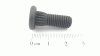Floraself SCHR:GERIPPT:5/16-24 x.87"LG