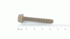 Sandrigarden 6KT-SCHRAUBE:TT:1/4-20:1.625