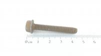 Sandrigarden 6KT-SCHRAUBE:TT:1/4-20:1.625