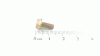 Bauhaus 6KT-BLECHSCHR.#8-32:0.375:HXIN