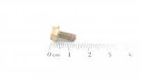Bauhaus 6KT-BLECHSCHR.#8-32:0.375:HXIN