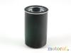 Garten Kraftstofffilter <b>LOMBARDINI</b> Kraftstofffilter
