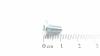 AS-Motor (neu) Gew. furch. Senk- Schr. m. Torx 