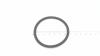 AS-Motor (neu) O-Ring