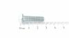 AS-Motor (neu) 6kt- Schraube 