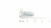 AS-Motor (neu) 6kt- Schraube 