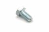 AS-Motor (neu) 6kt- Schraube 