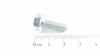 AS-Motor (neu) Sicherungsschraube 