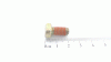 Goldpower 6KT-SCHR:5/16-18:.625:GR5:LOCK