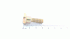 Edena SHLT-SCHR:.437 x .268:5/16-18