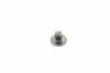 Hanseatic TORXSCHR:M6x1.0x10: PANTRXI