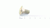 Sandrigarden FL-RD-SCHR:5/16-18: .62:GR5: