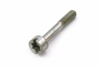 Schraube IS M4x25-8.8