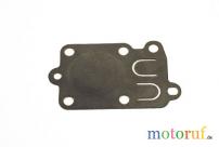 Membrane p.f B&S 272538S