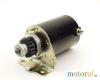 Garten BRIGGS & STRATTON <b>BRIGGS & STRATTON</b> Elektro-Starter