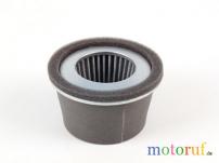 Garten Filter Luft pass.f. Robin
