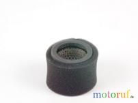 Garten Filter Luft pass.f. Robin