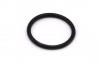 Gardena O-Ring 20x2