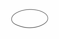 O-Ring 113x1