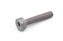 * Schraube IS-M5x25-12.9