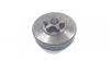 Ryobi PINION