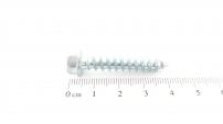 Global Garden Products GGP Screw