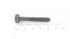 Powerline LIBS ISO7049-TORX5,5*38 C VERZ
