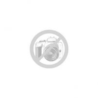 KEILRIEMEN V-TYP A X 78.0 LG