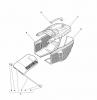 Global Garden Products GGP Baujahr 2017 Benzin Mit Antrieb 2017 NTL 534 W TR 4S - W TRQ 4S Ersatzteile DELTA Grass-Catcher