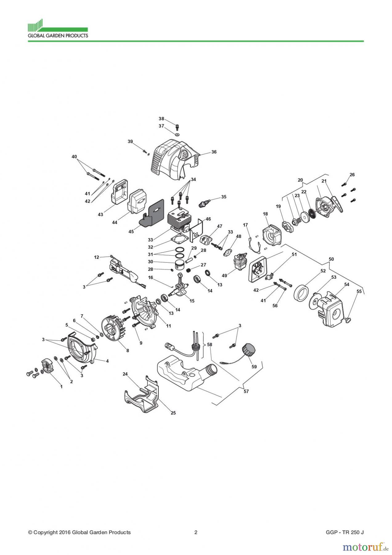 Global Garden Products GGP Motorsensen und Trimmer Benzin 2017 TR 250 J Engine