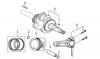LONCIN Motoren LC168F(D)-1、LC168F(D)-2、LC168F(D)-1B、LC168F(D)-2B、LC168F(D)-1C、LC168F(D)-2C、G160F(D)、G200F(D)、G160F(D)-B、G200F(D)-B、G160F(D)-C、G200F(D)-C Ersatzteile Kurbelwelle, Kolben