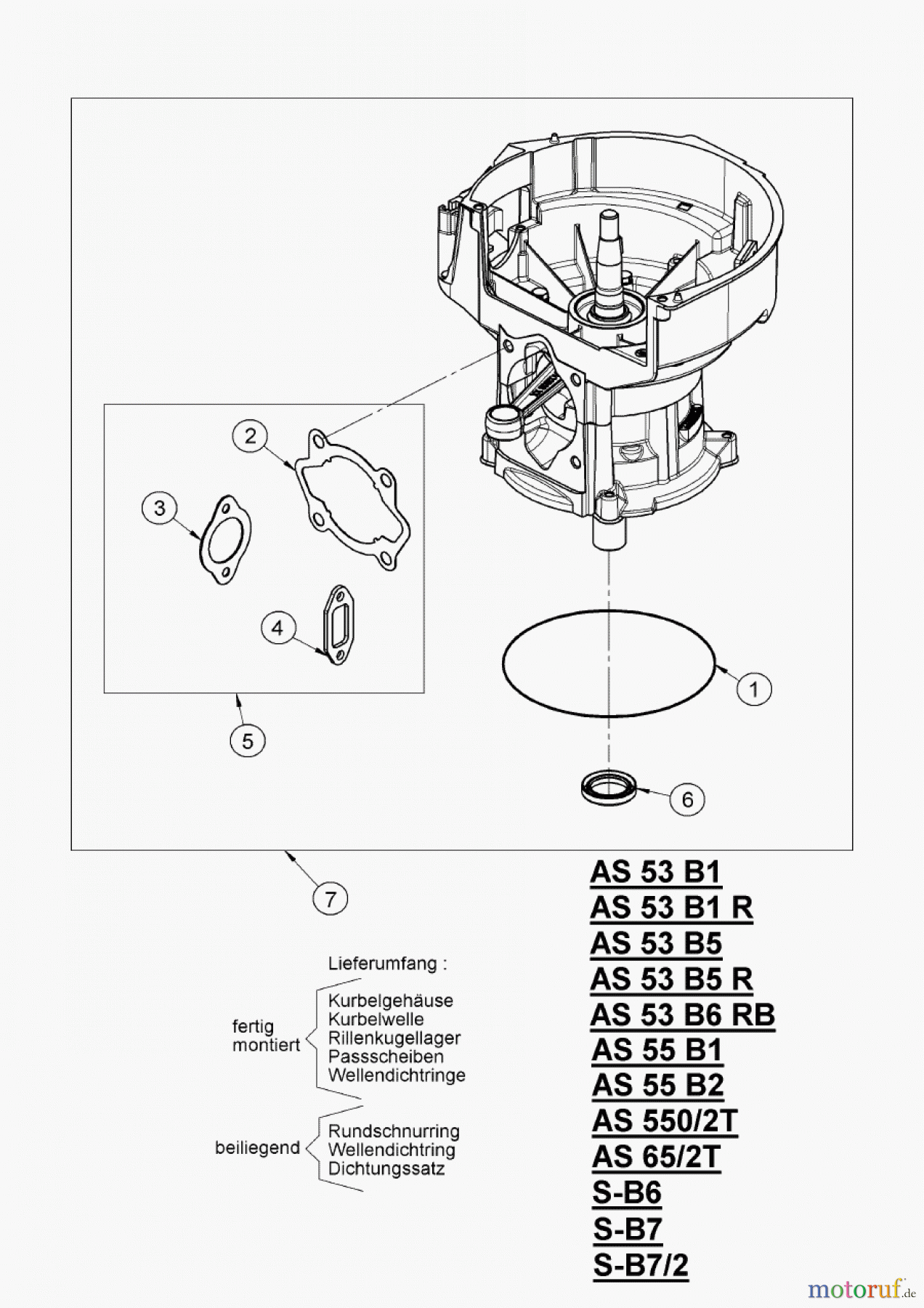 AS-Motor (neu) Rasen Profi-Rasenmäher AS 550 Heckauswurf AS 550/2T ab FNr. 016905202001 Rumpfmotor
