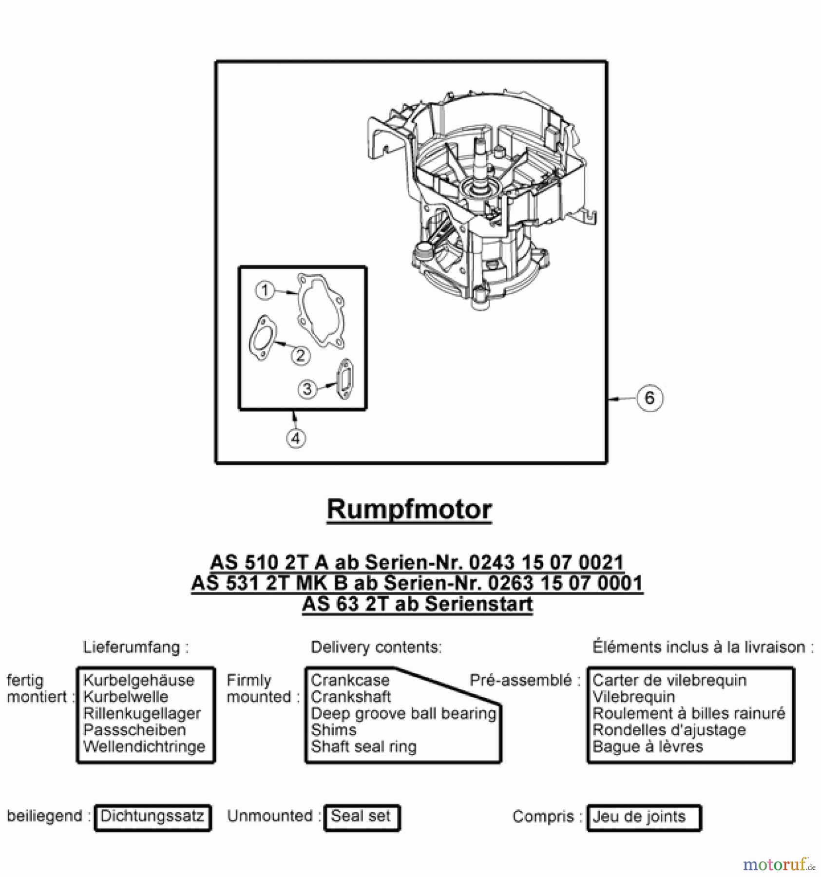 AS-Motor (neu) Rasen Profi-Rasenmäher AS 531 Heckauswurf AS 531 2T ES MK B ab FNr. 030717060001 Rumpfmotor