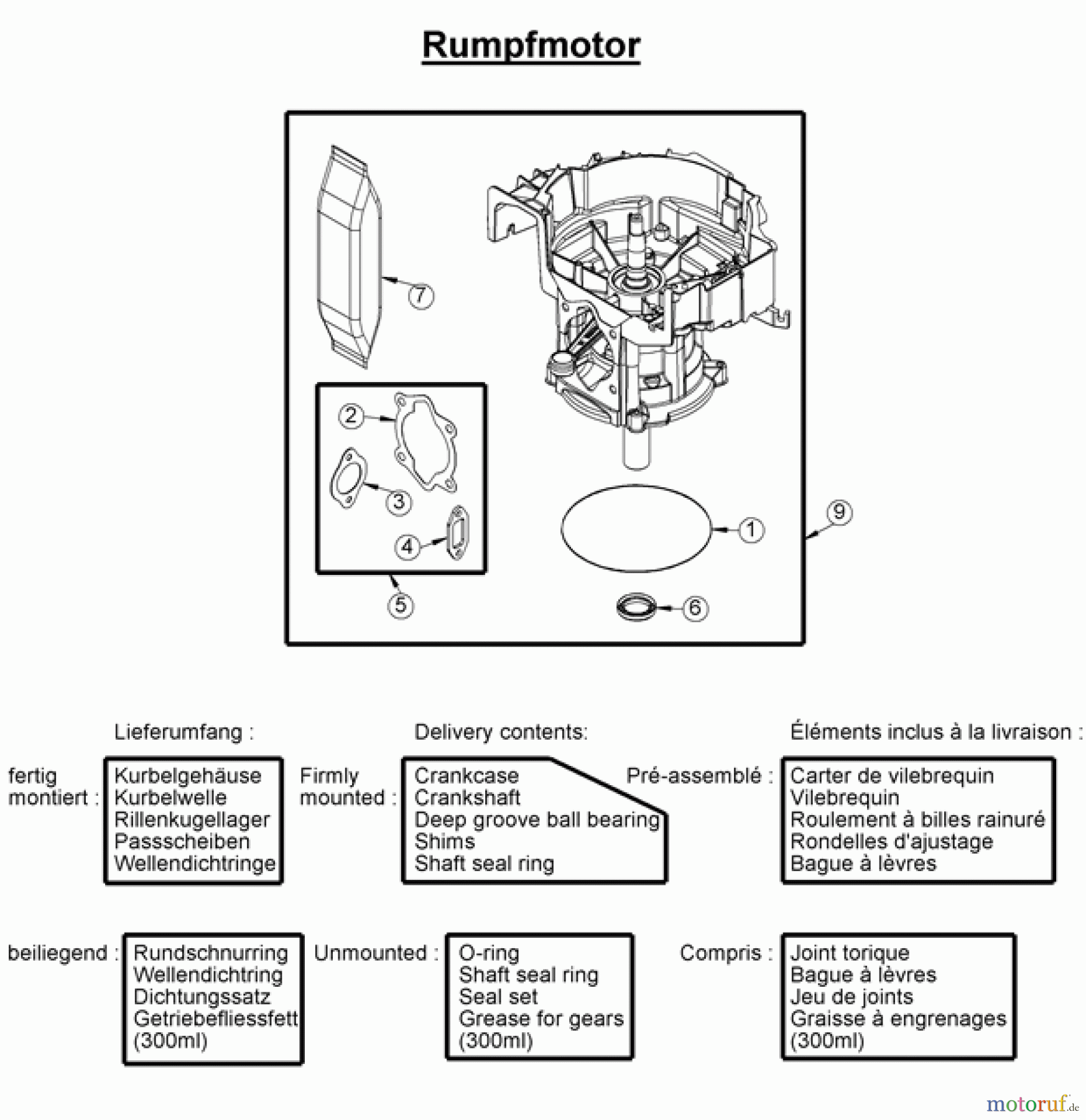 AS-Motor (neu) Rasen Profi-Rasenmäher AS 53 Standard AS 53 2T ES ab FNr. 030317060001 Rumpfmotor