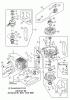 AS-Motor (neu) Profi-Rasenmäher AS 53 Allrad AS 53 2T ES 4WD ab FNr. 030417060001 Ersatzteile Rumpfmotor PLUS