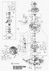 AS-Motor (neu) Hochgras Allmäher AS 28 AS 28/4 ab FNr. 013508100001 Ersatzteile Grundmotor