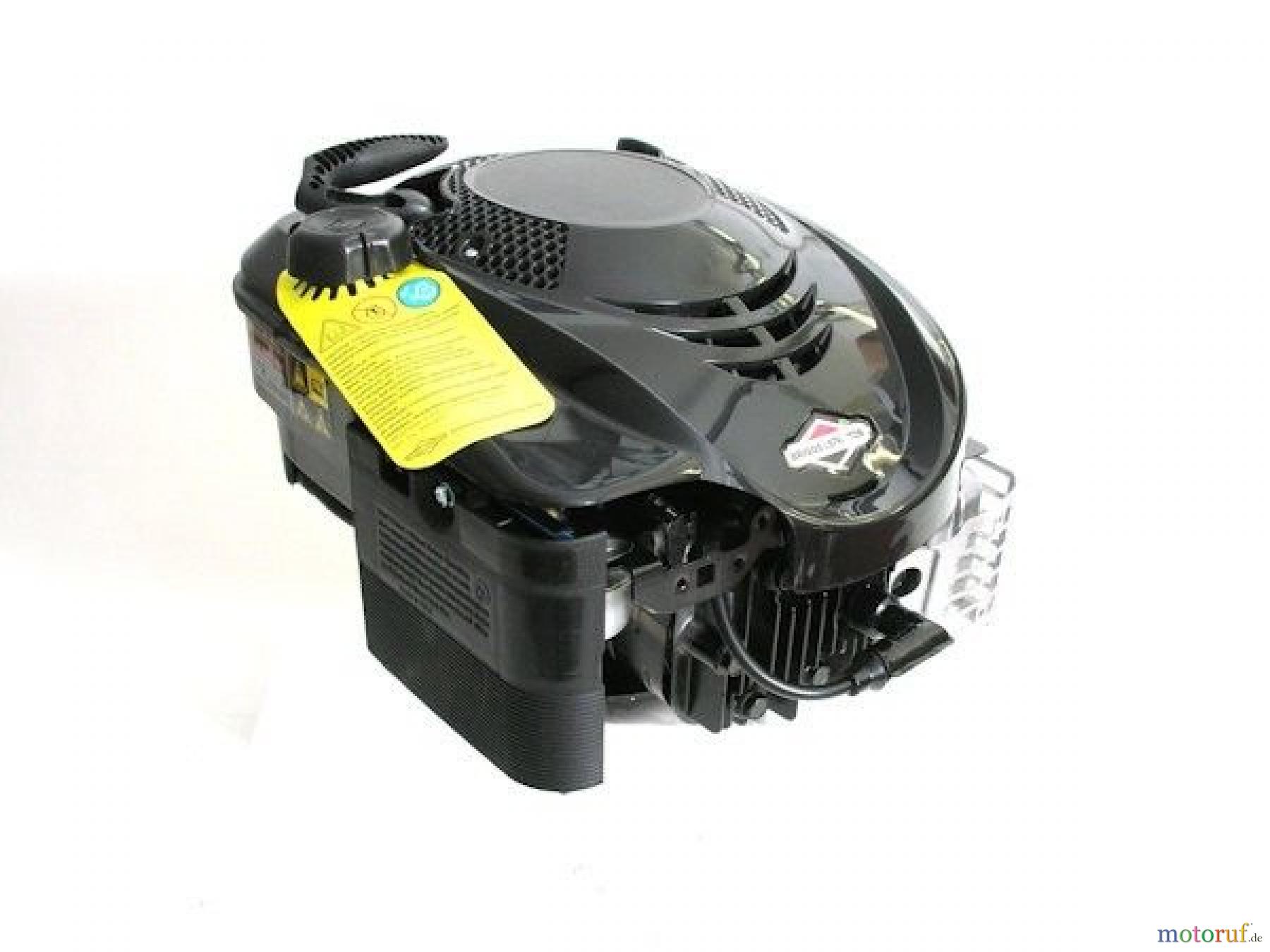 Wolf-Garten Benzinmotoren Briggs&Stratton