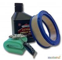 Sonderangebote Wartungsset für Vanguard V-Twin 998102