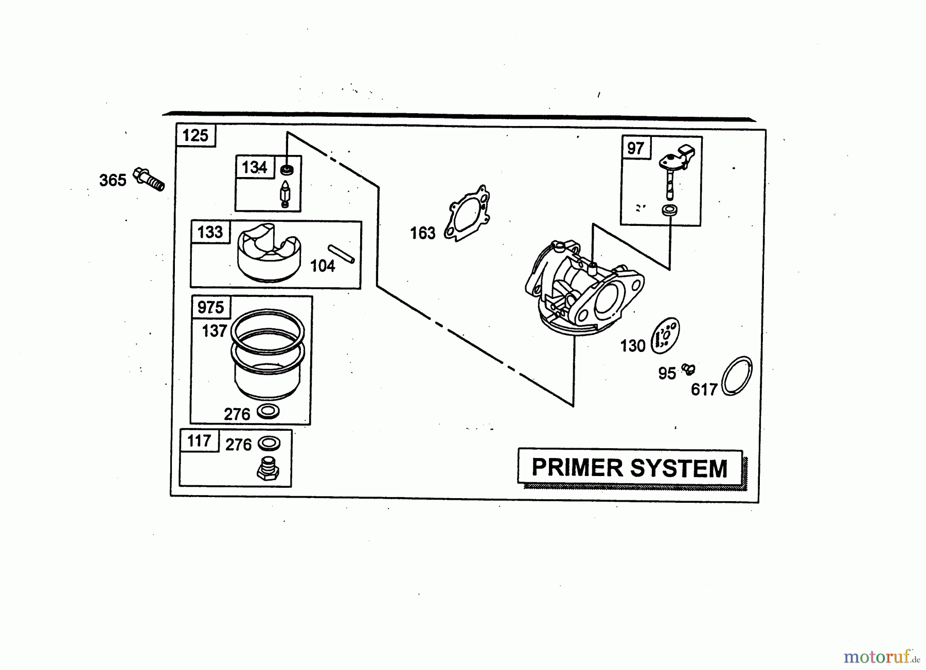 Wolf-Garten Benzinmotoren Briggs&Stratton Quantum 55 XTE 2069070-55 (2004) Vergaser (Primer System)