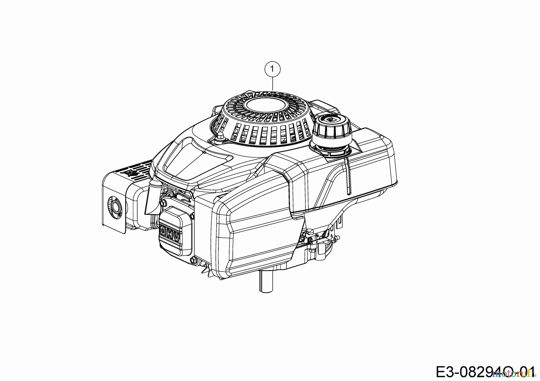 Bricolage Rasentraktoren INV R10576 LB 13AC26JD648 (2021) Motor