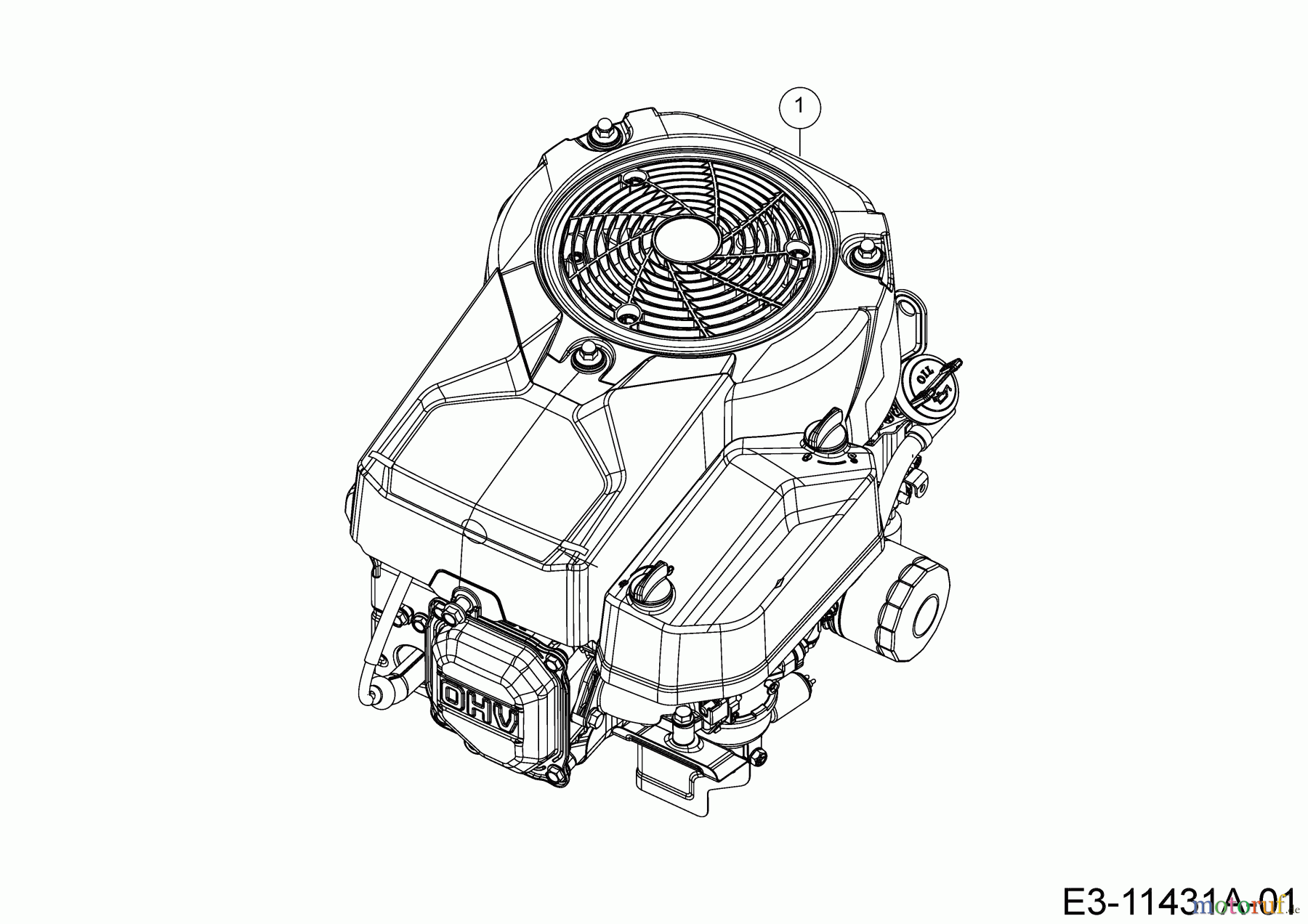 MTD Rasentraktoren Optima LN 200 H 13JT71KN678 (2021) Motor