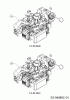 Cub Cadet LM2 DR53 12D-PRKC603 (2019) Ersatzteile Motor