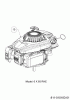 Cub Cadet LM2 DR46ES 12ECTQS7603 (2022) Ersatzteile Motor
