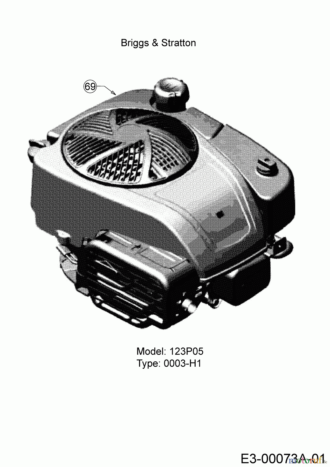 Cub Cadet Motormäher mit Antrieb LM3 ER53ES 12ACPV9B603 (2018) Motor Briggs & Stratton