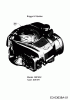 Wolf-Garten S 4600 AHW 12B-TR5N650 (2020) Ersatzteile Motor