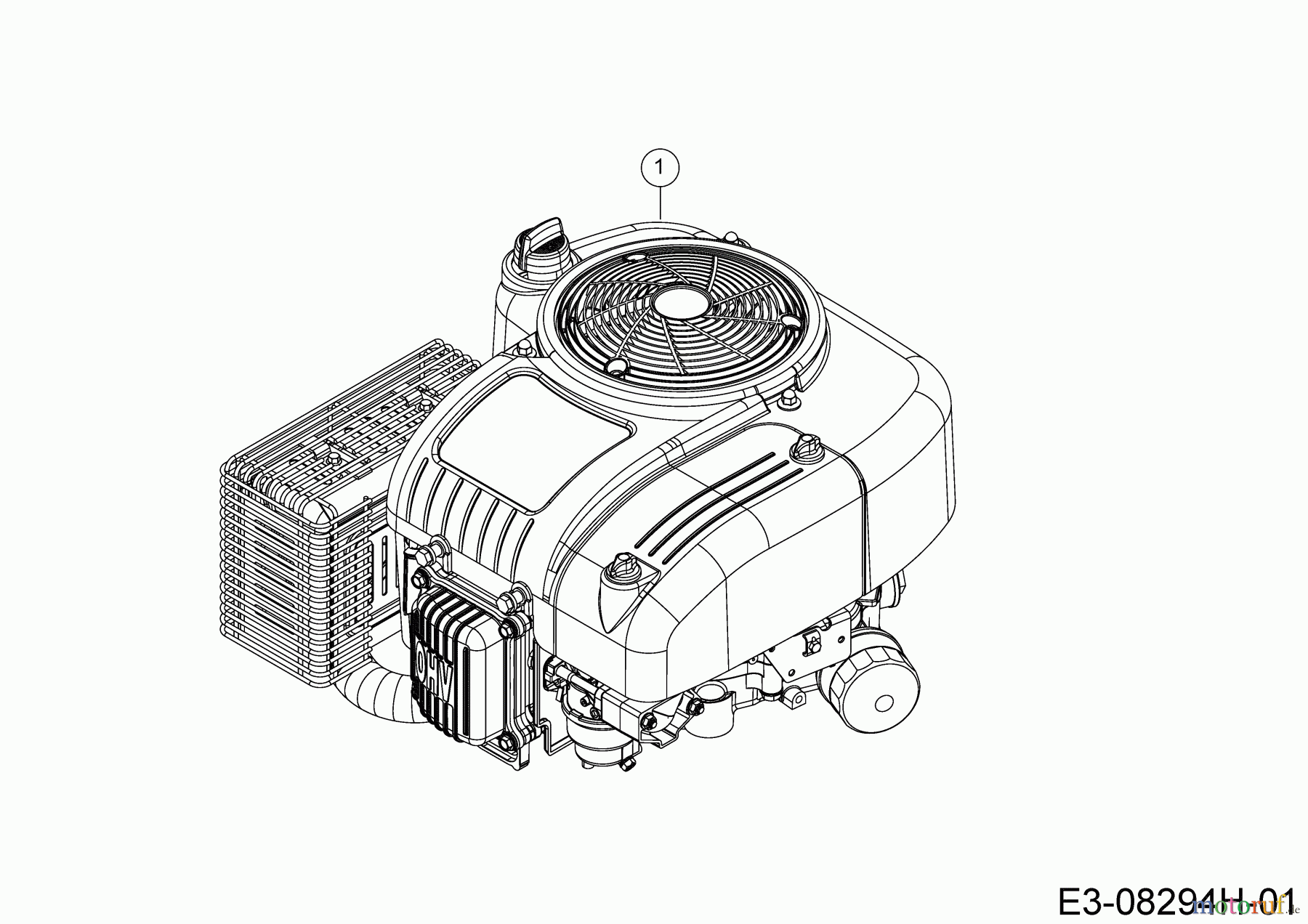 Wolf-Garten Rasentraktoren Scooter Pro 13C226HD650 (2020) Motor