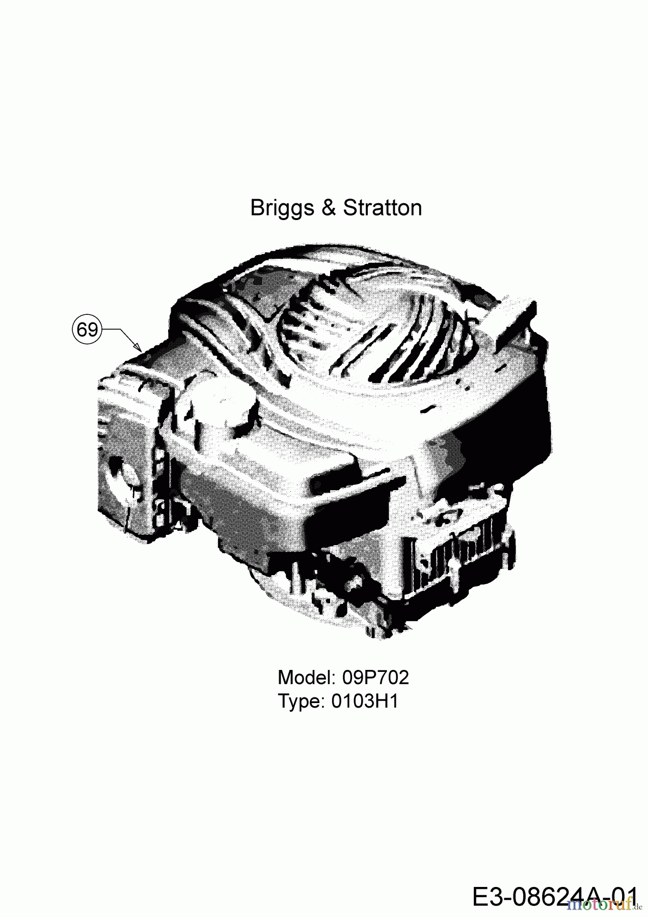 Wolf-Garten Motormäher Expert 46 B P 11A-YA5E650 (2018) Motor Briggs & Stratton