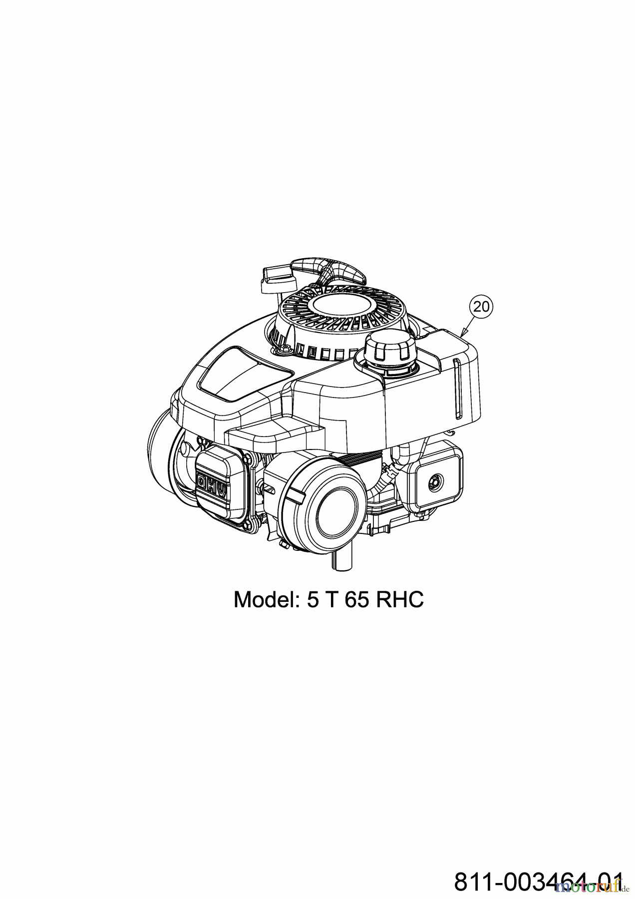 Wolf-Garten Motormäher mit Antrieb A 4600 A 12C-TOSC650 (2021) Motor
